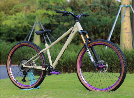 パーツ MTB TANKE 36mm - 160mm Travel パーツ MTB TANKE 36mm - 160mm Travel MTB TANKE 36mm - 160mm